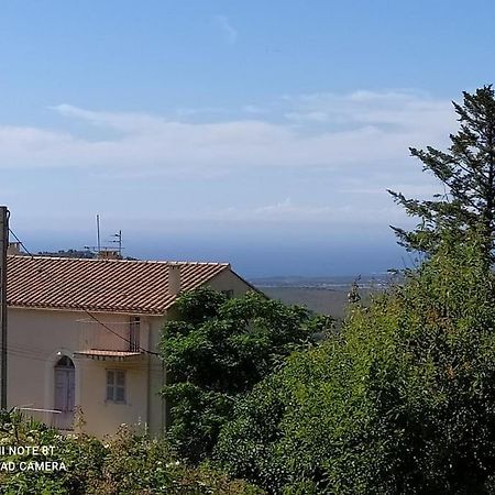 Duplex Avec Jardin, Proche Village カロンザナ エクステリア 写真