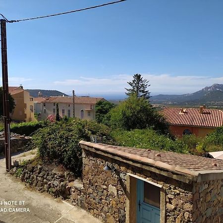 Duplex Avec Jardin, Proche Village カロンザナ エクステリア 写真