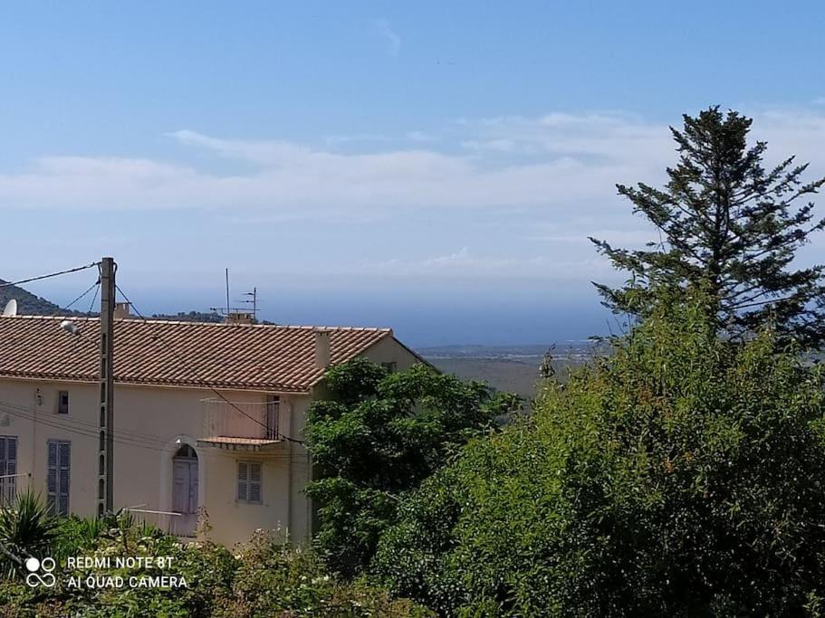 Duplex Avec Jardin, Proche Village カロンザナ エクステリア 写真